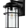 Safavieh Cianna Outdoor Wall Sconce Home