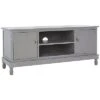 Safavieh Halton 2 Door 1 Shelf Media Stand Home