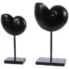 Safavieh Resi Set Of 2 Snails Table Decor Home -Safavieh Sales Store 3050416192 RLLD 1