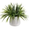 Safavieh Faux Orchid Potted Plant Home -Safavieh Sales Store 3050537523 RLLD 1
