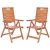 Safavieh Rence Folding Chair Home -Safavieh Sales Store 3050566413 RLLD 1