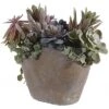Safavieh Faux Succulent Potted Plant Home -Safavieh Sales Store 3050685114 RLLD 1