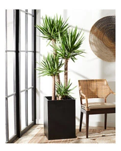 Safavieh Kendri Planter Home -Safavieh Sales Store 3050707075 RLLD 3