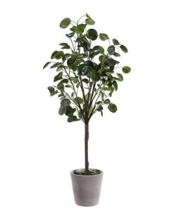 Safavieh Faux Polyscias Fruticosa Potted Tree Home