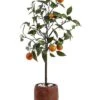 Safavieh Faux Orange Potted Tree Home -Safavieh Sales Store 3050966900 RLLD 1