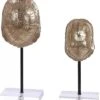 Safavieh Eris Set Of 2 Decorative Turtle Shells Home -Safavieh Sales Store 3050966915 RLLD 1