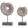 Safavieh Lena Set Of 2 Ammonite Shells Table Decor Home