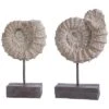 Safavieh Toren Set Of 2 Ammonite Shells Table Decor Home