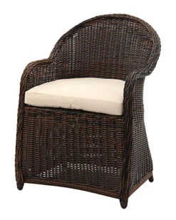 Safavieh Newton Outdoor Wicker Arm Chair With Cushion Home