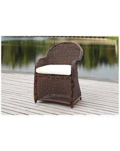 Safavieh Newton Outdoor Wicker Arm Chair With Cushion Home -Safavieh Sales Store 3070382010 RLLD 3