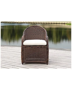 Safavieh Newton Outdoor Wicker Arm Chair With Cushion Home -Safavieh Sales Store 3070382010 RLLD 4